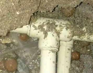 兴业测漏水多少钱