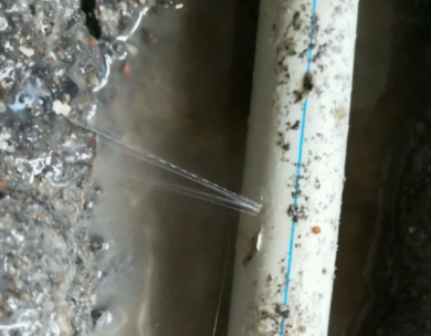 兴业测漏水哪家好