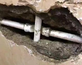 兴业测漏水哪家好