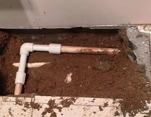 兴业测漏水哪家好