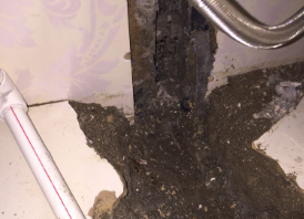 兴业卫生间测漏水哪家好