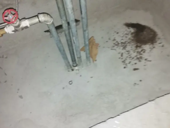 兴业卫生间测漏水价格明细