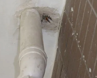 兴业漏水检测哪家好